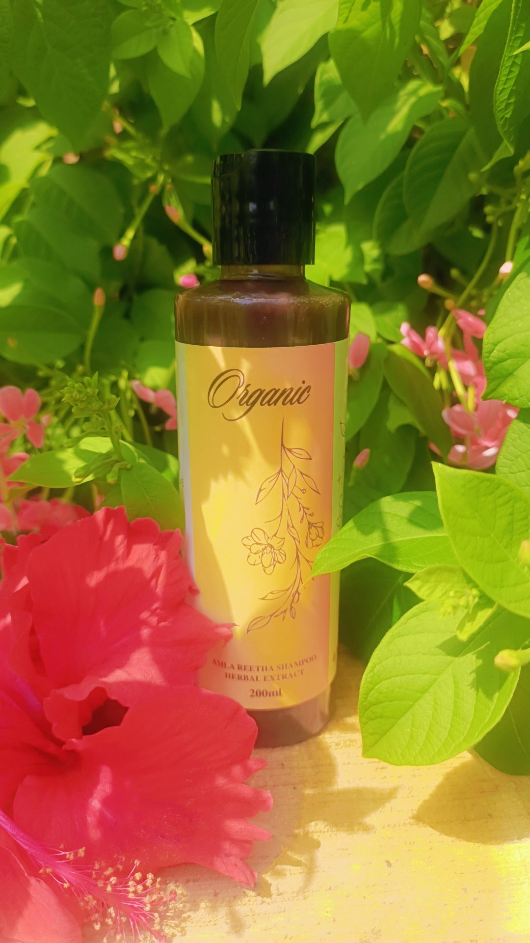 Amla reetha Organic Shampoo