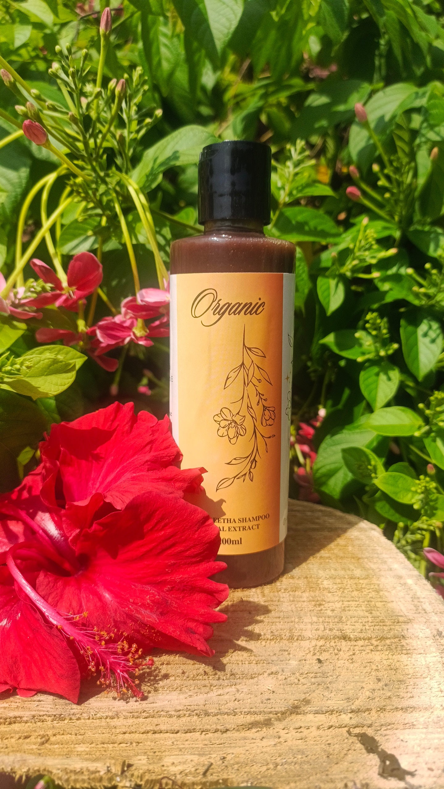 Amla reetha Organic Shampoo